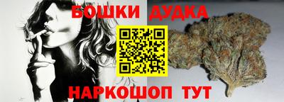 PSILOCYBIN Тула