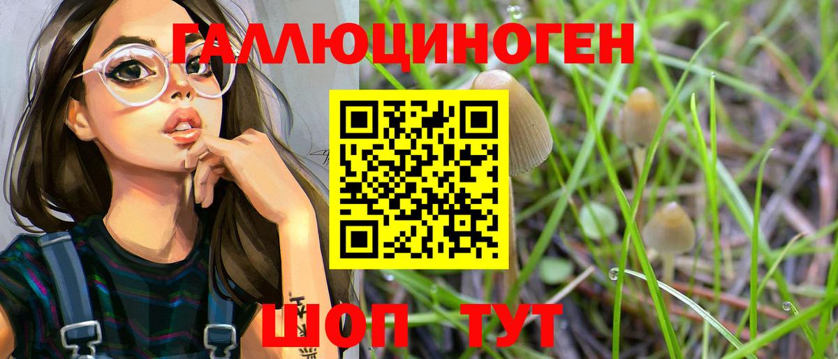 Назрань  Псилоцибиновые грибы прущие грибы  Вход с VPN 